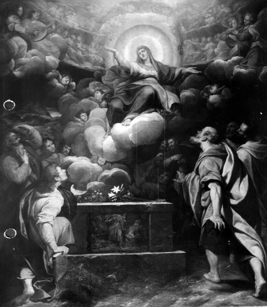 Assunzione della Vergine - Brera, Milano